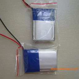 聚合物鋰電池 車載充電機的理想伙伴——從生產廠家到價格解析